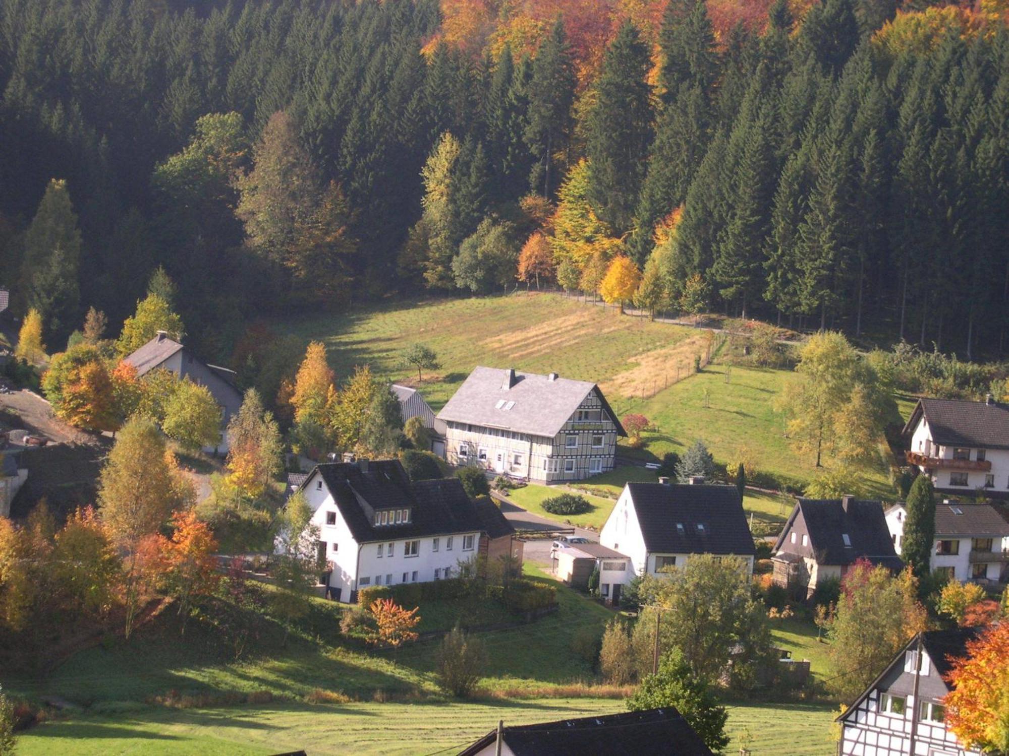 Haus Wald-Eck Apartment Шмаленберг Екстериор снимка