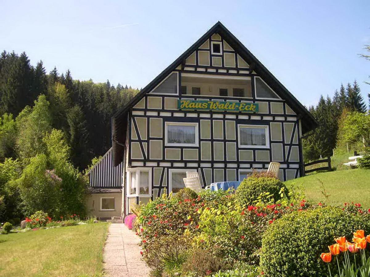 Haus Wald-Eck Apartment Шмаленберг Екстериор снимка