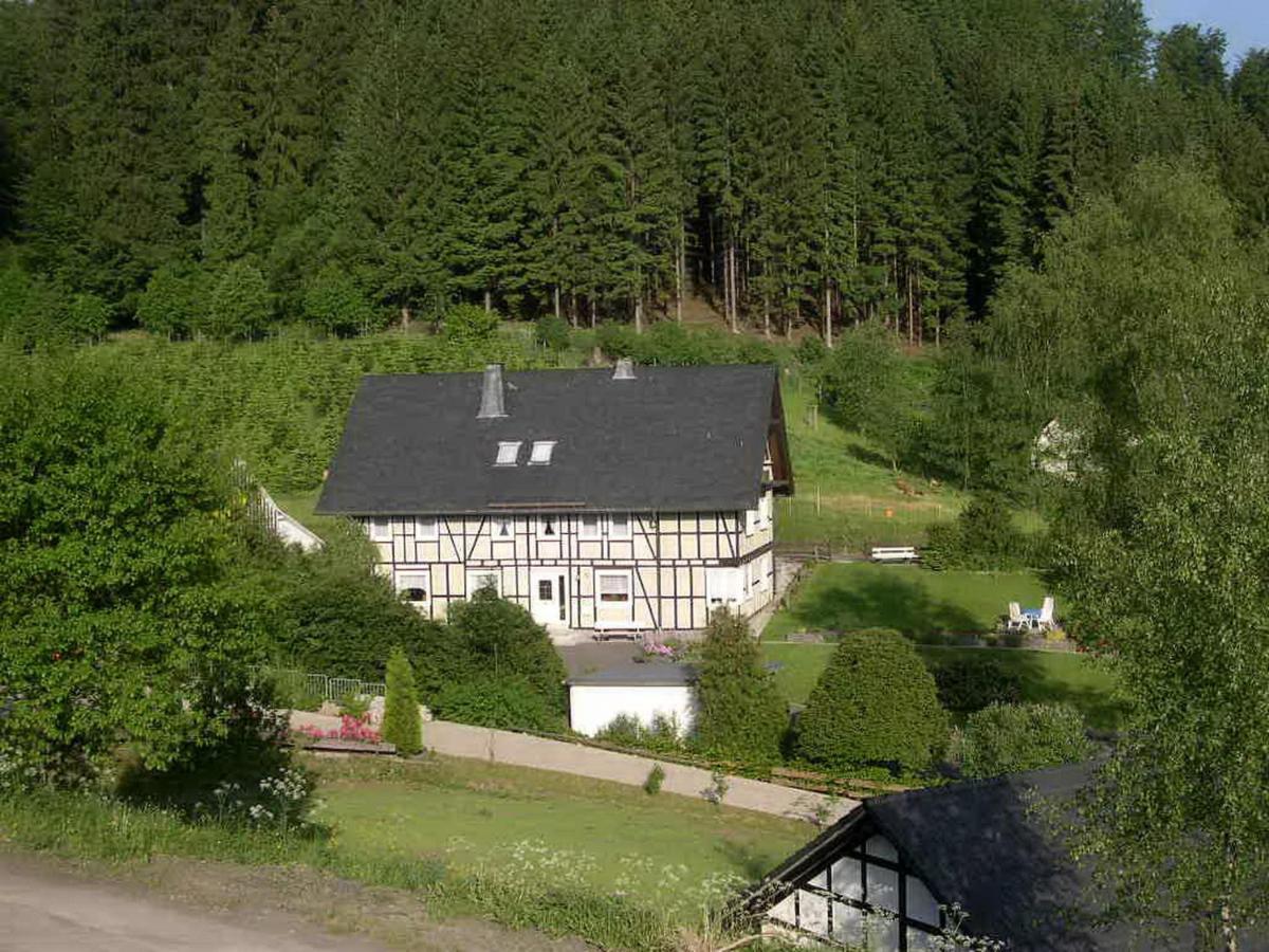 Haus Wald-Eck Apartment Шмаленберг Екстериор снимка